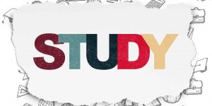 Why do most international students prefer to study in the Australia